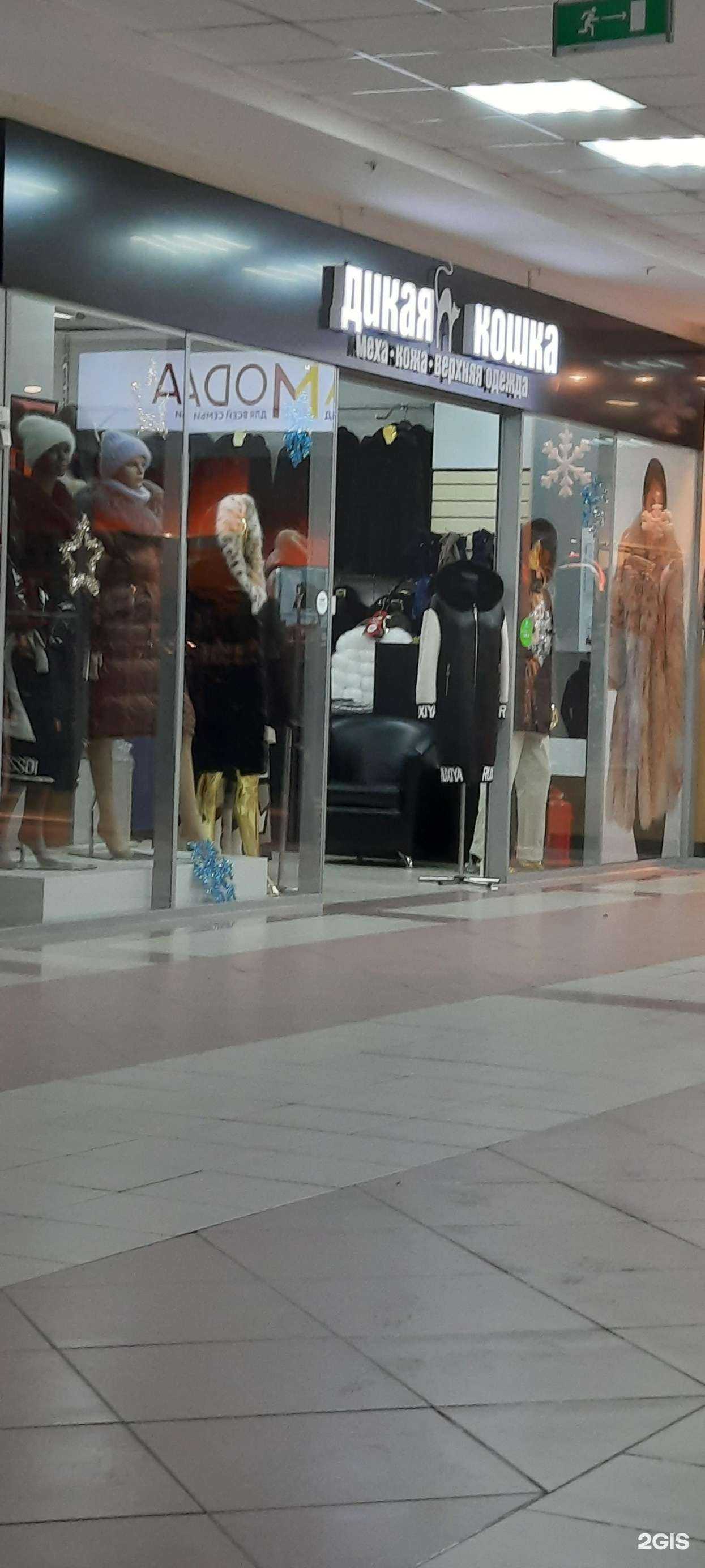 Отзывы на компанию Дикая кошка в Перми c фото