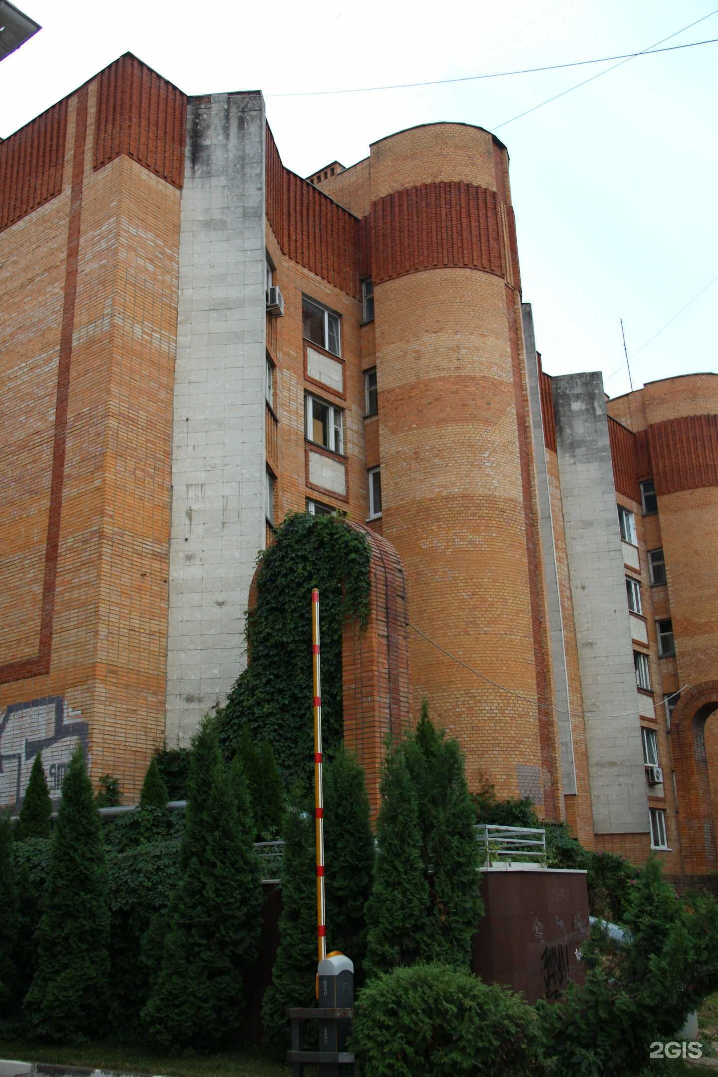 Отзывы на компанию Хвостатый модник в Калуге c фото - фотография 2 из 2