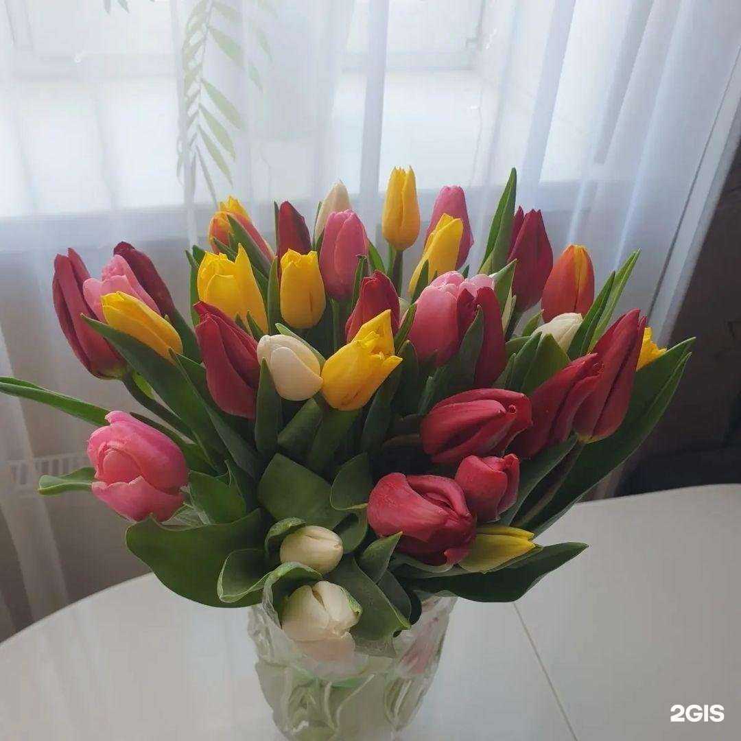 Отзывы на компанию Laserbest в Тюмени c фото