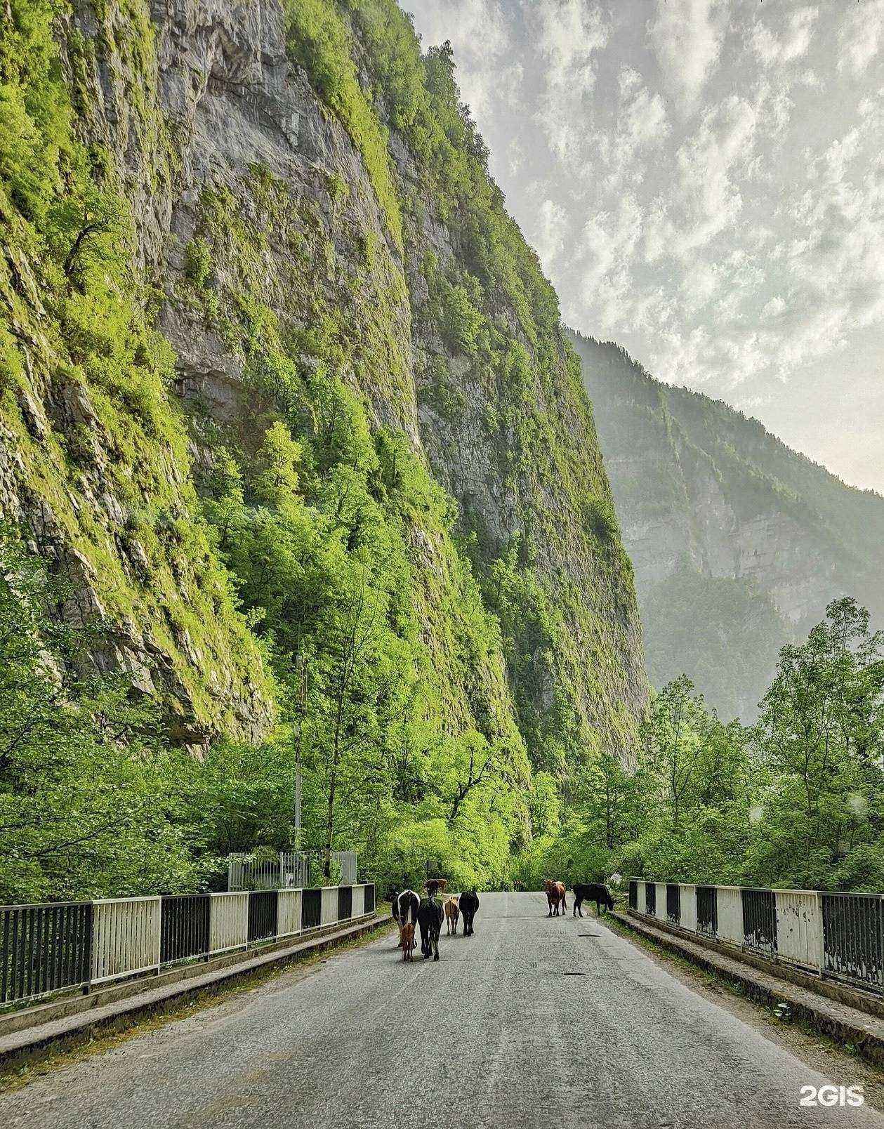 Отзывы на компанию Яроблтур в г. Ярославль c фото