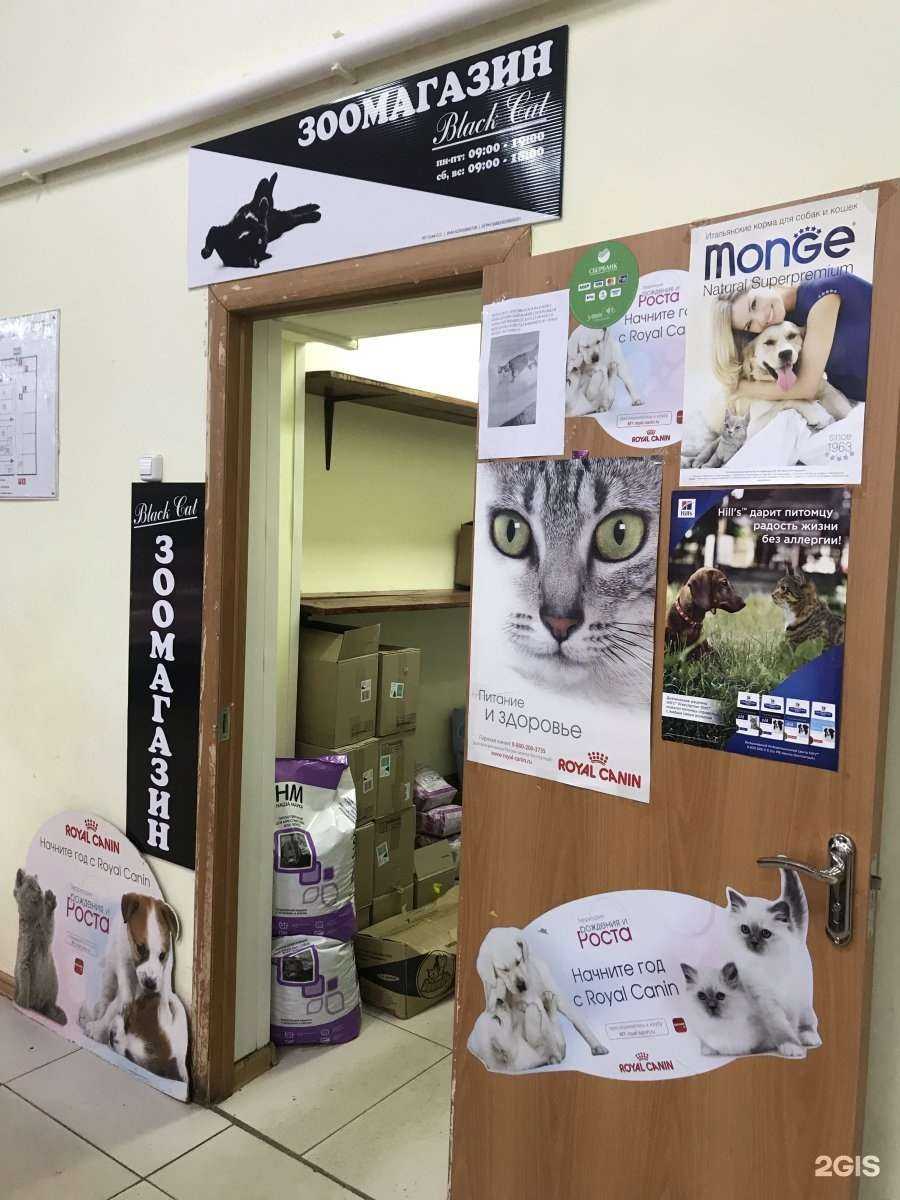 Отзывы на компанию Black cat в г. Рязань c фото