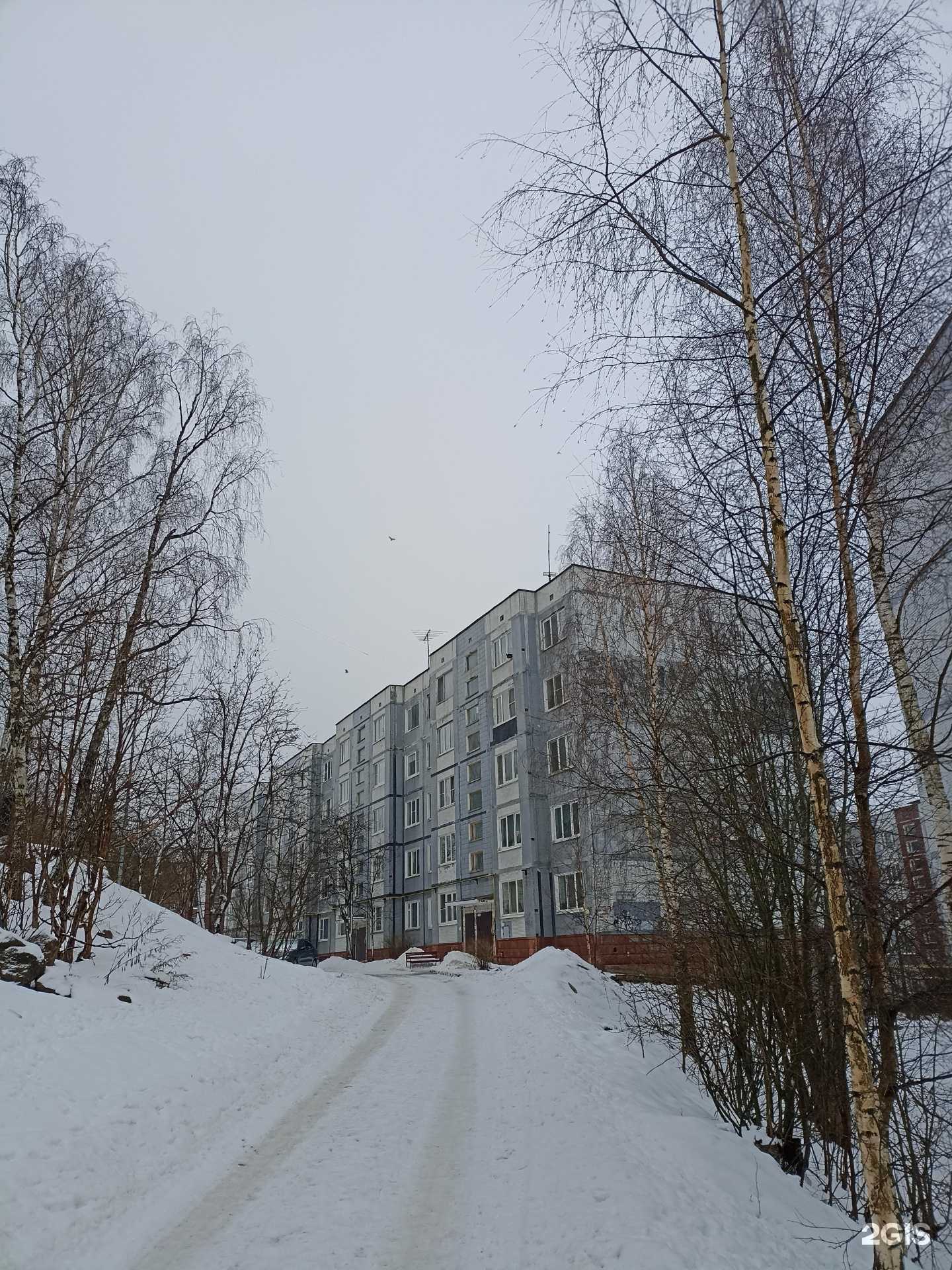 Отзывы на компанию Первая Выборгская фотостудия для новорожденных в Выборге c фото - фотография 2 из 2