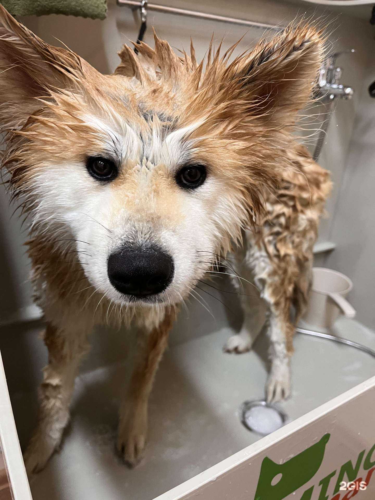 Отзывы на компанию GroomFil в г. Иваново c фото