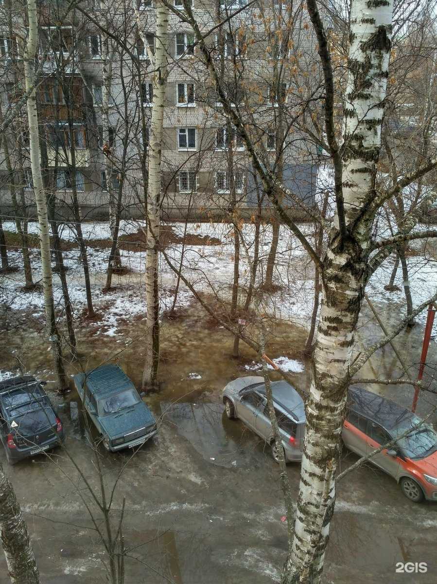 Отзывы на компанию Фламинго в Нижнем Новгороде c фото - фотография 2 из 2