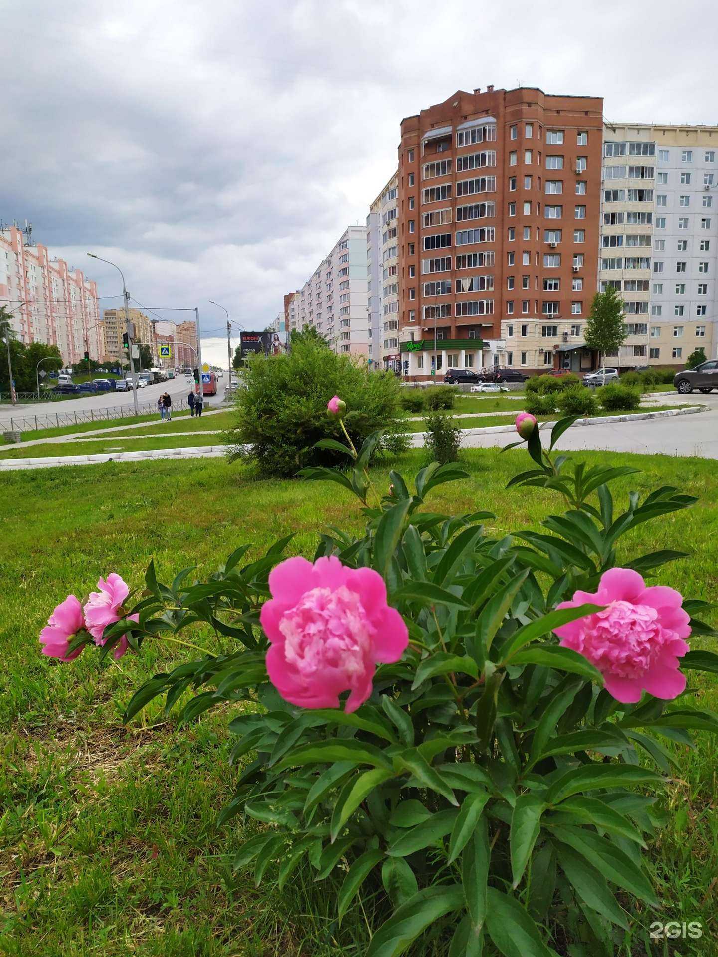 Отзывы на компанию Novocleans в Новосибирске c фото - фотография 2 из 2