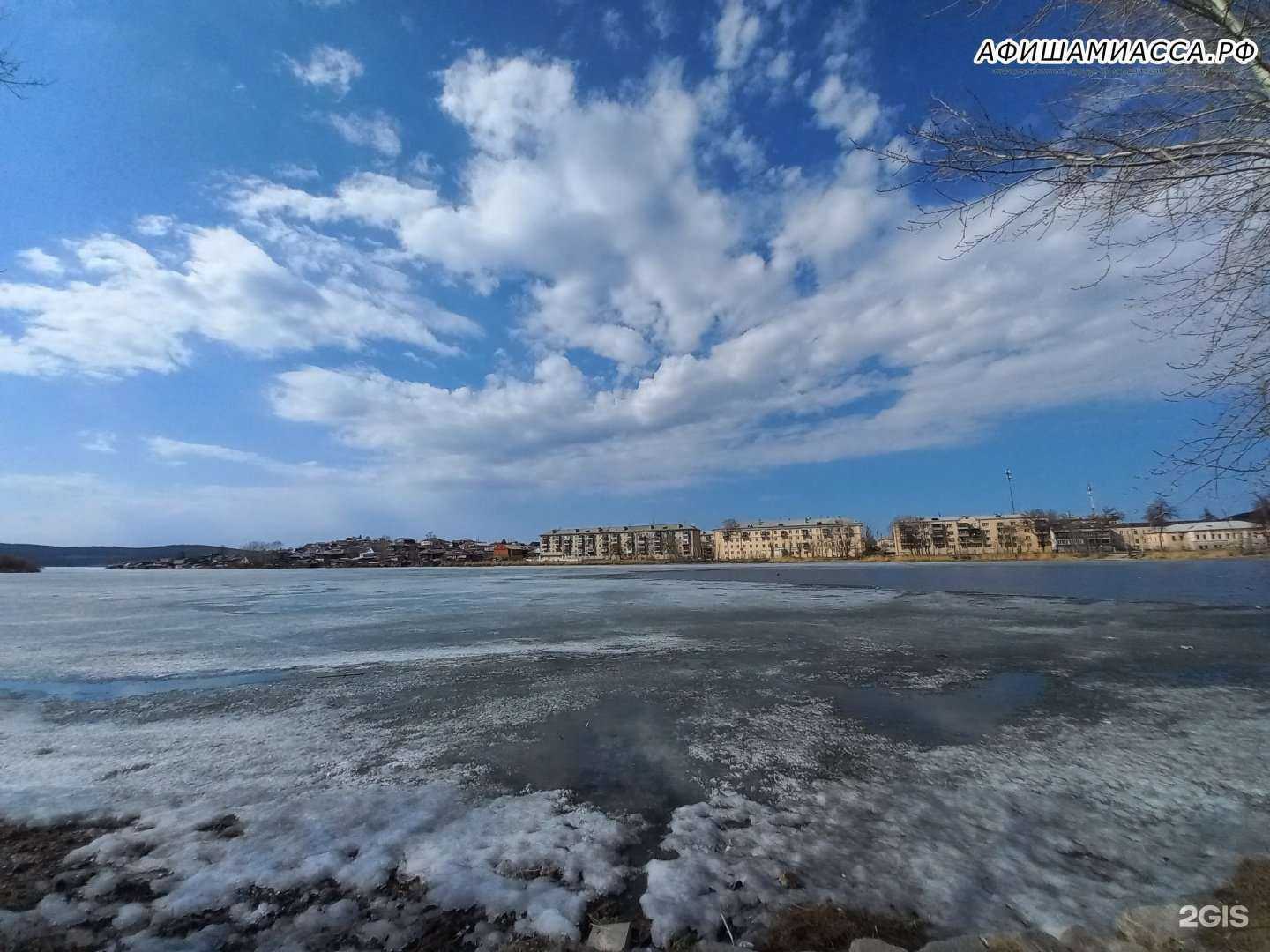 Отзывы на компанию Ветеринарный кабинет в Миассе c фото - фотография 2 из 2