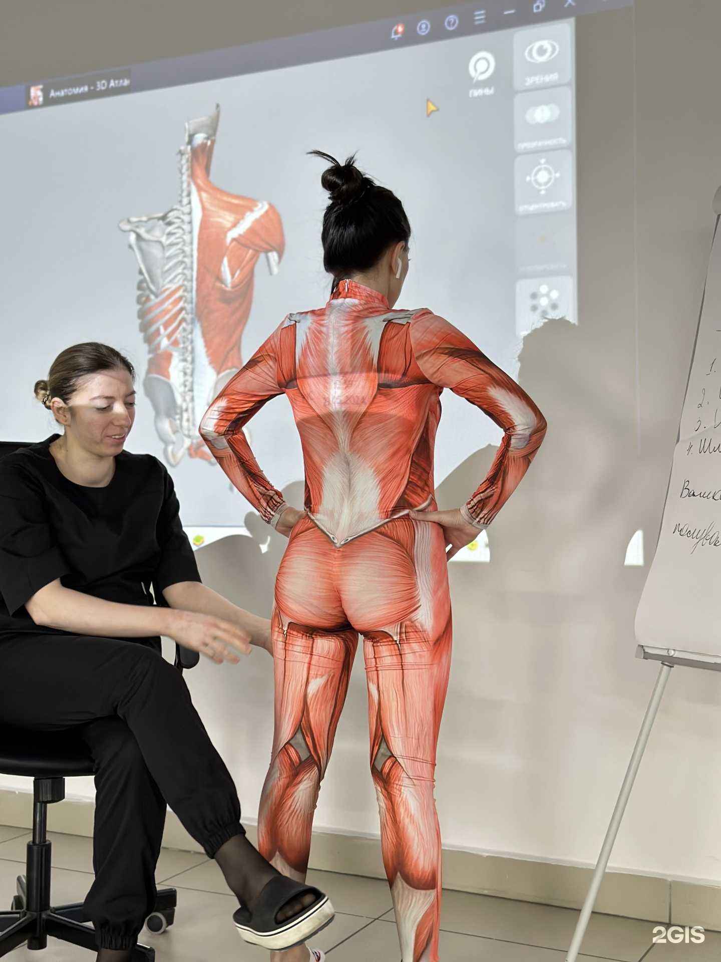 Отзывы на компанию Авокадо в Махачкале c фото