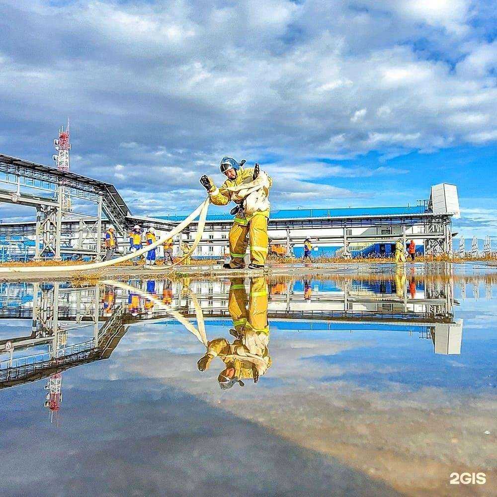 Отзывы на компанию Экошельф в Южно-Сахалинске c фото