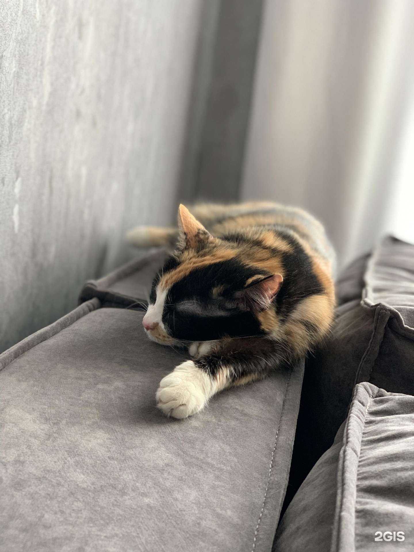 Отзывы на компанию Эверест в Новосибирске c фото