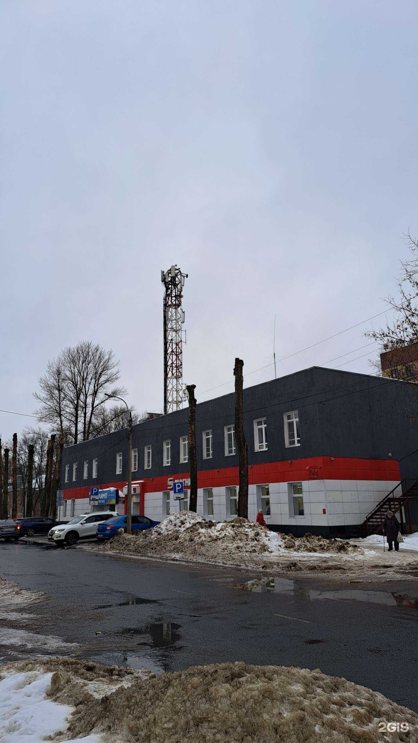 Отзывы на компанию Дельфин в Ярославле c фото