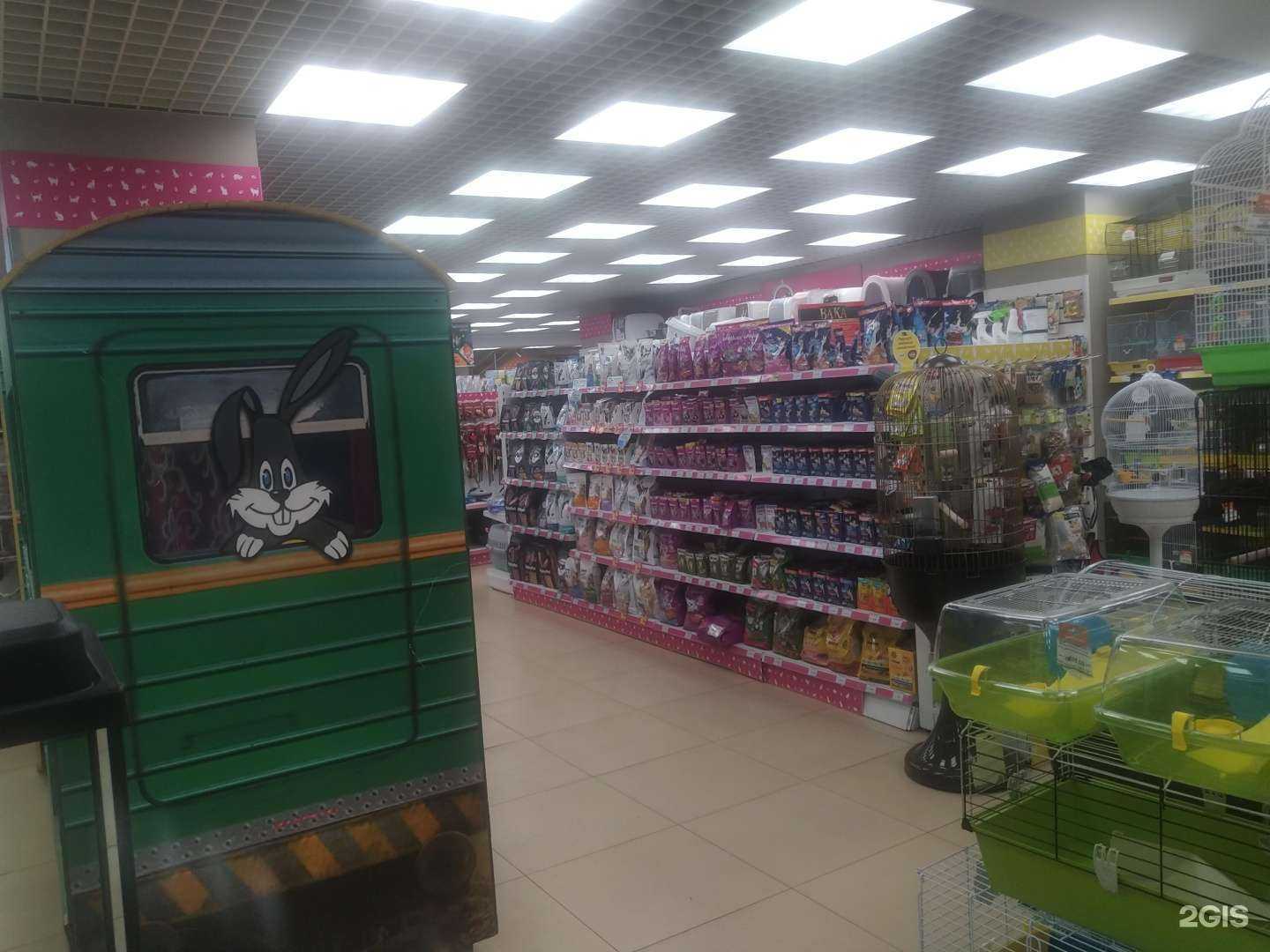 Отзывы на компанию Четыре лапы в Жуковском c фото