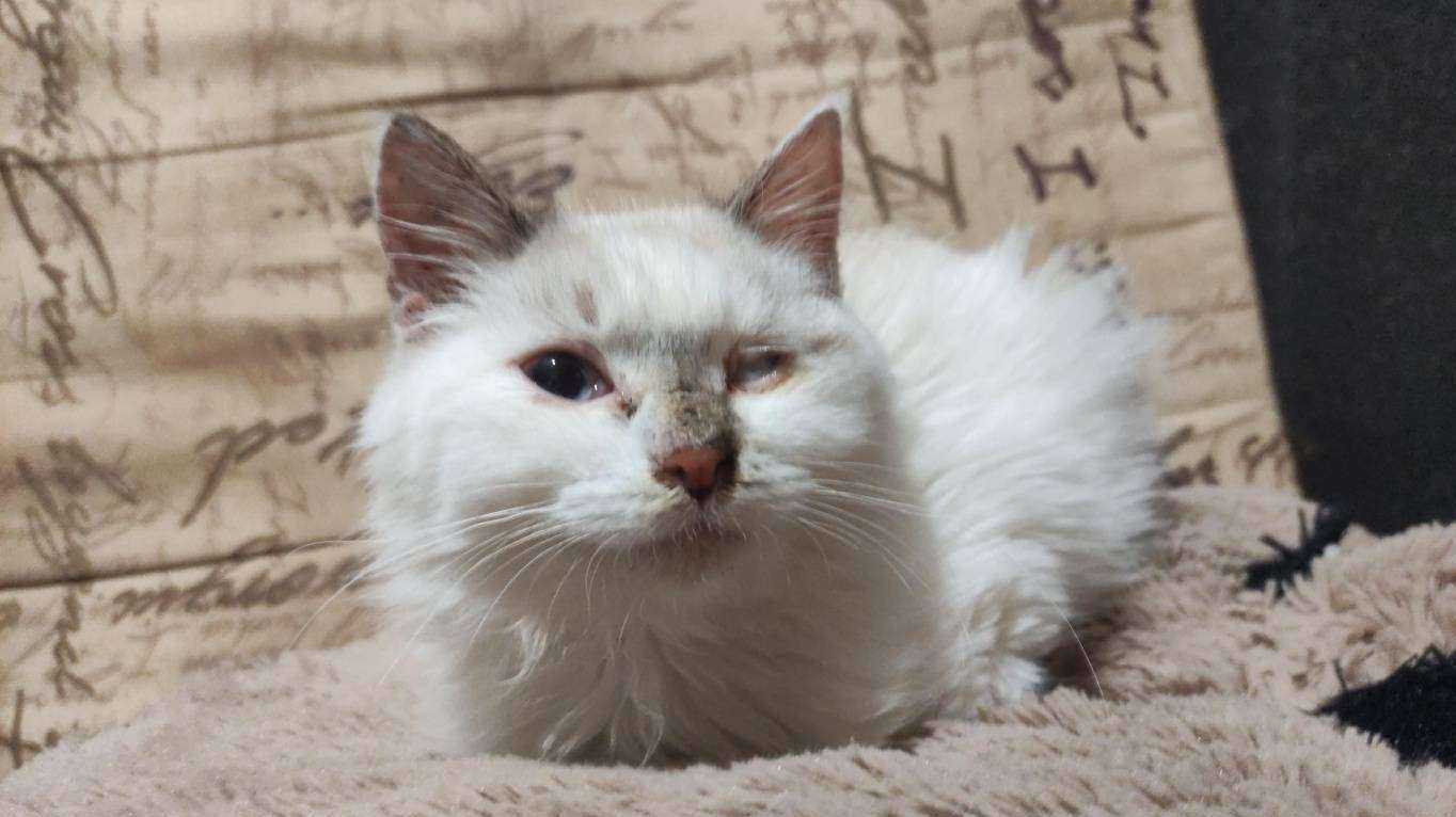 Отзывы на компанию Уссурийская ветеринарная станция по борьбе с болезнями животных в Уссурийске c фото