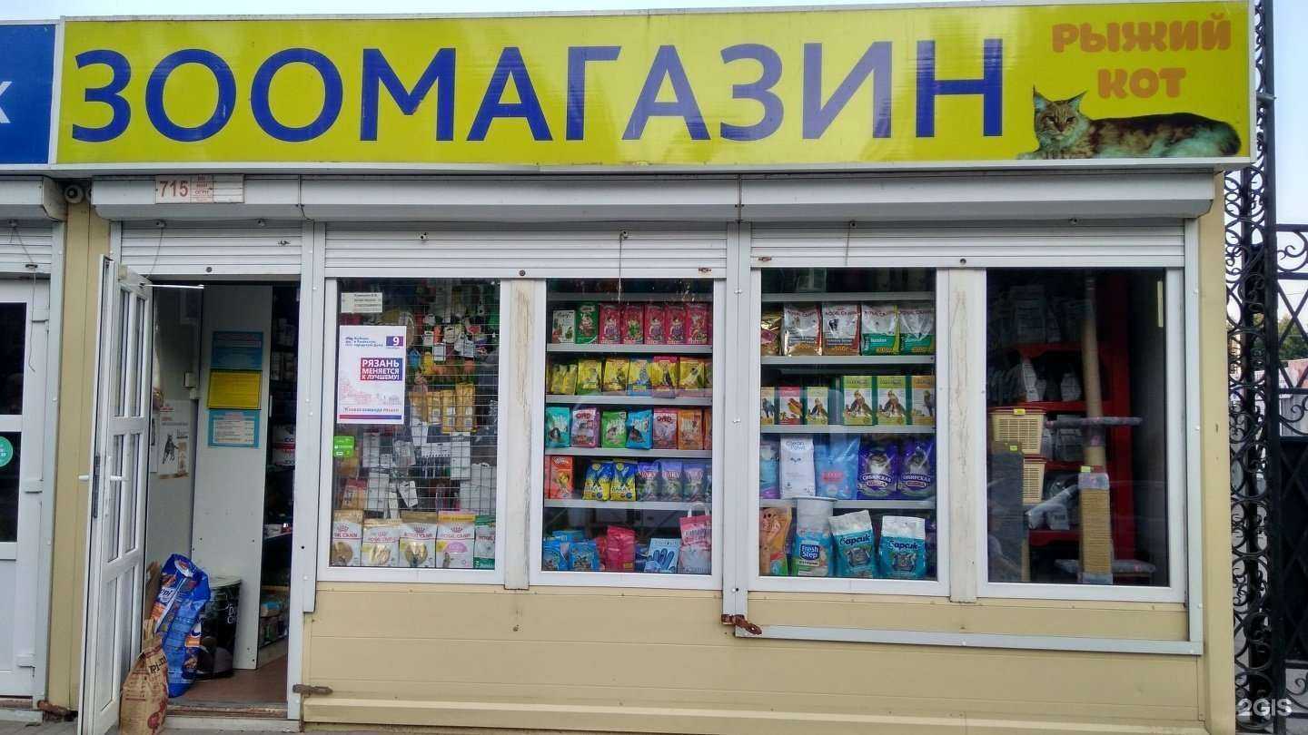 Отзывы на компанию Рыжий кот в Рязани c фото