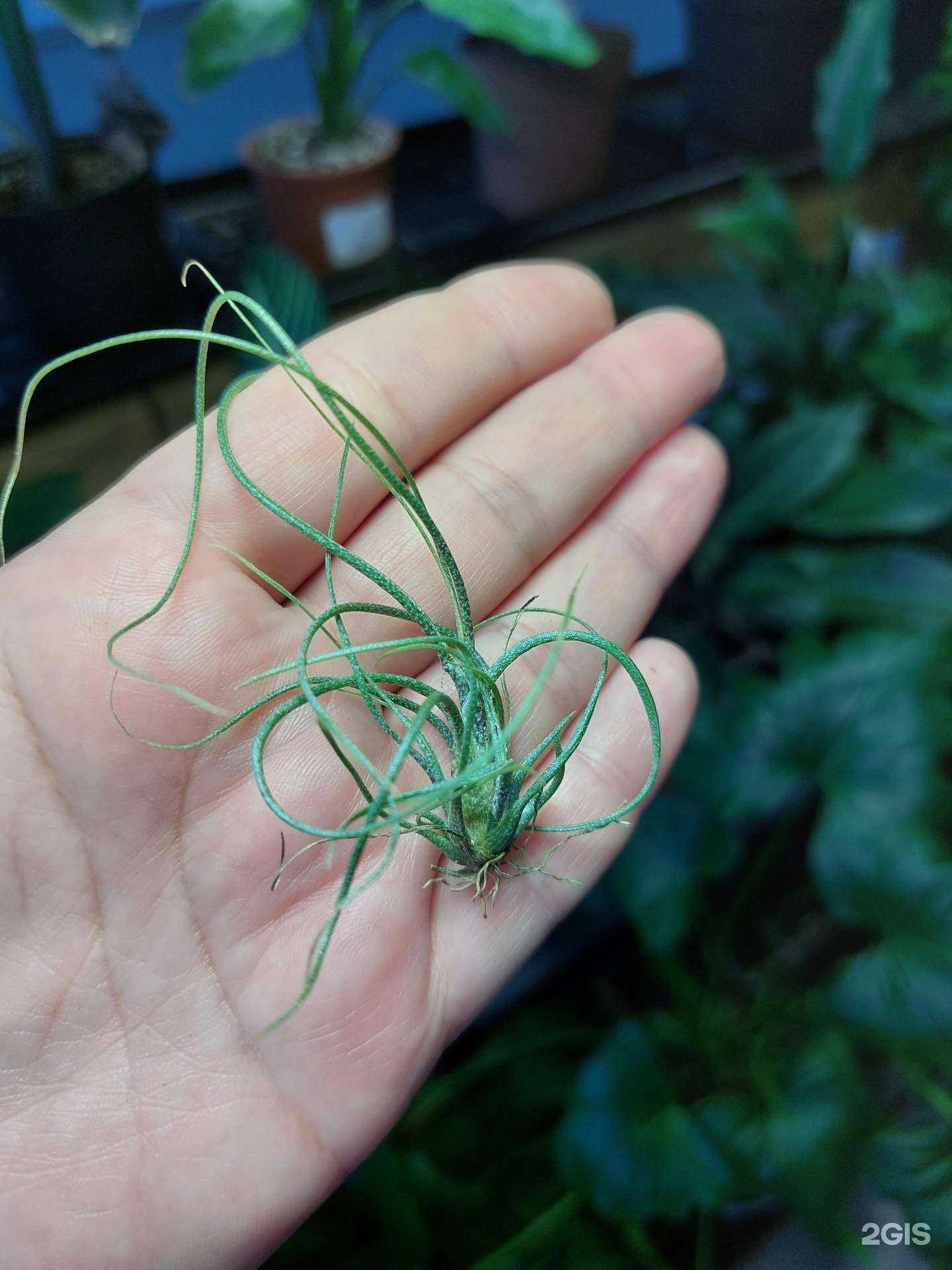 Отзывы на компанию Зелёный дом в г. Южноуральск c фото