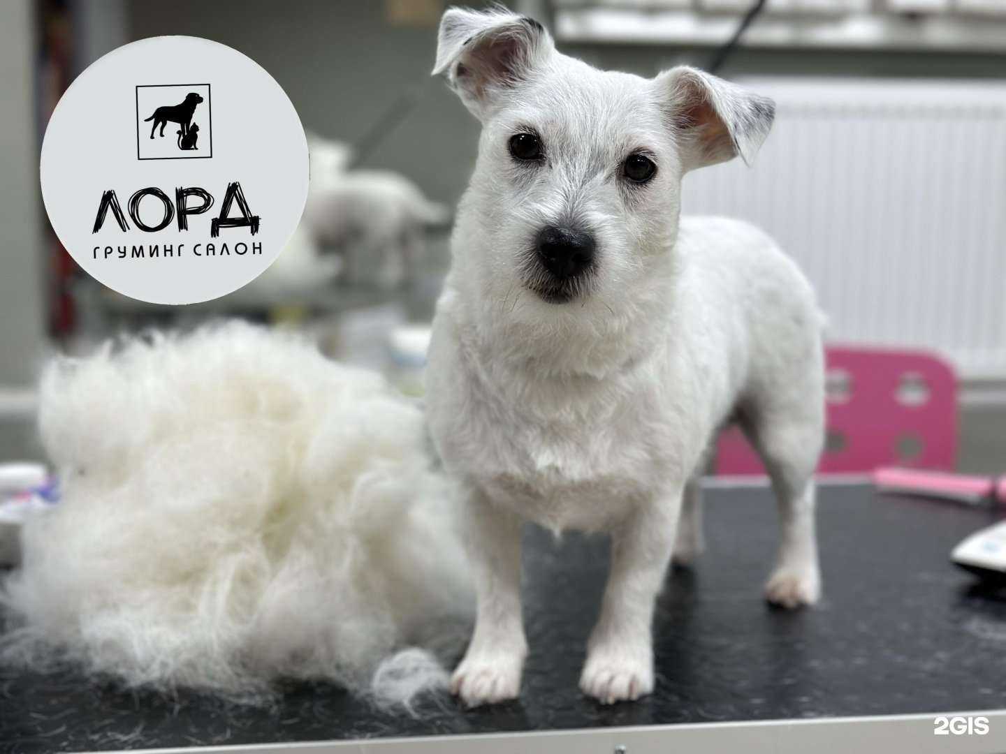 Отзывы на компанию Лорд в г. Сыктывкар c фото