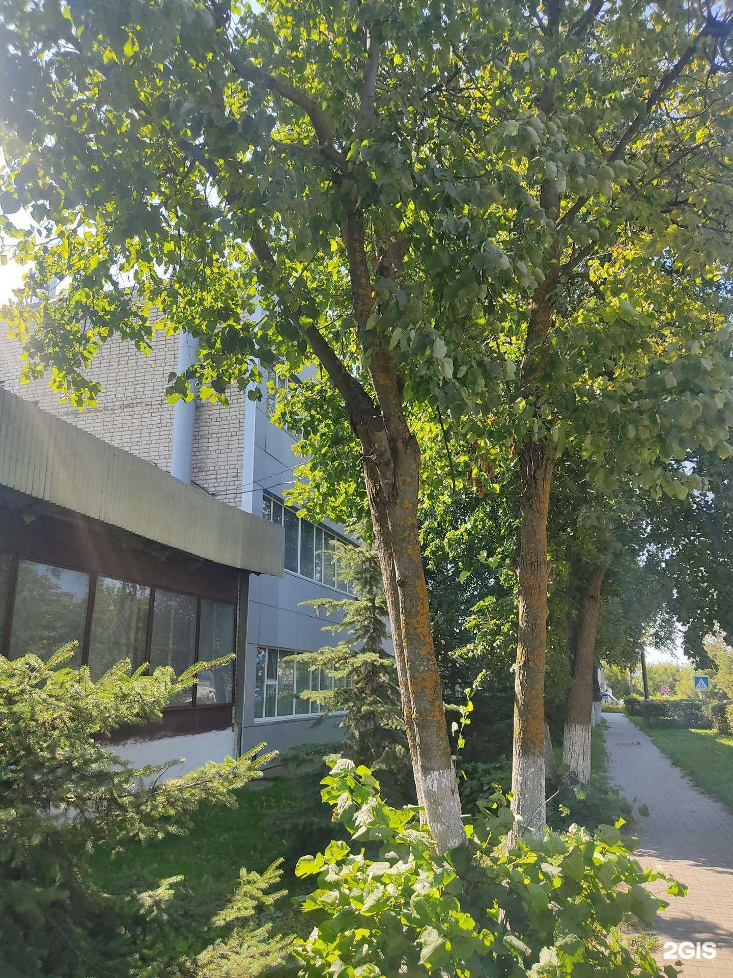 Отзывы на компанию Вкусняшка в Арзамасе c фото - фотография 2 из 2