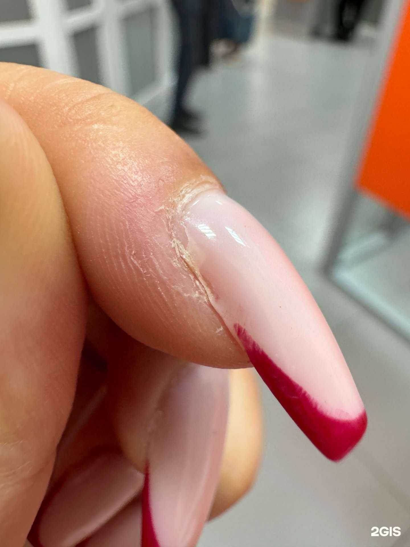 Отзывы на компанию Lapki studio в Владивостоке c фото