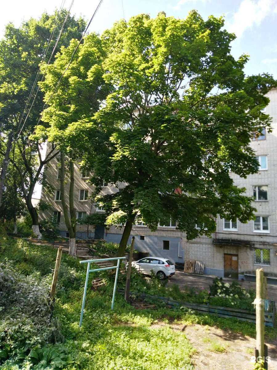 Отзывы на компанию Купец24 в Нижнем Новгороде c фото - фотография 2 из 2