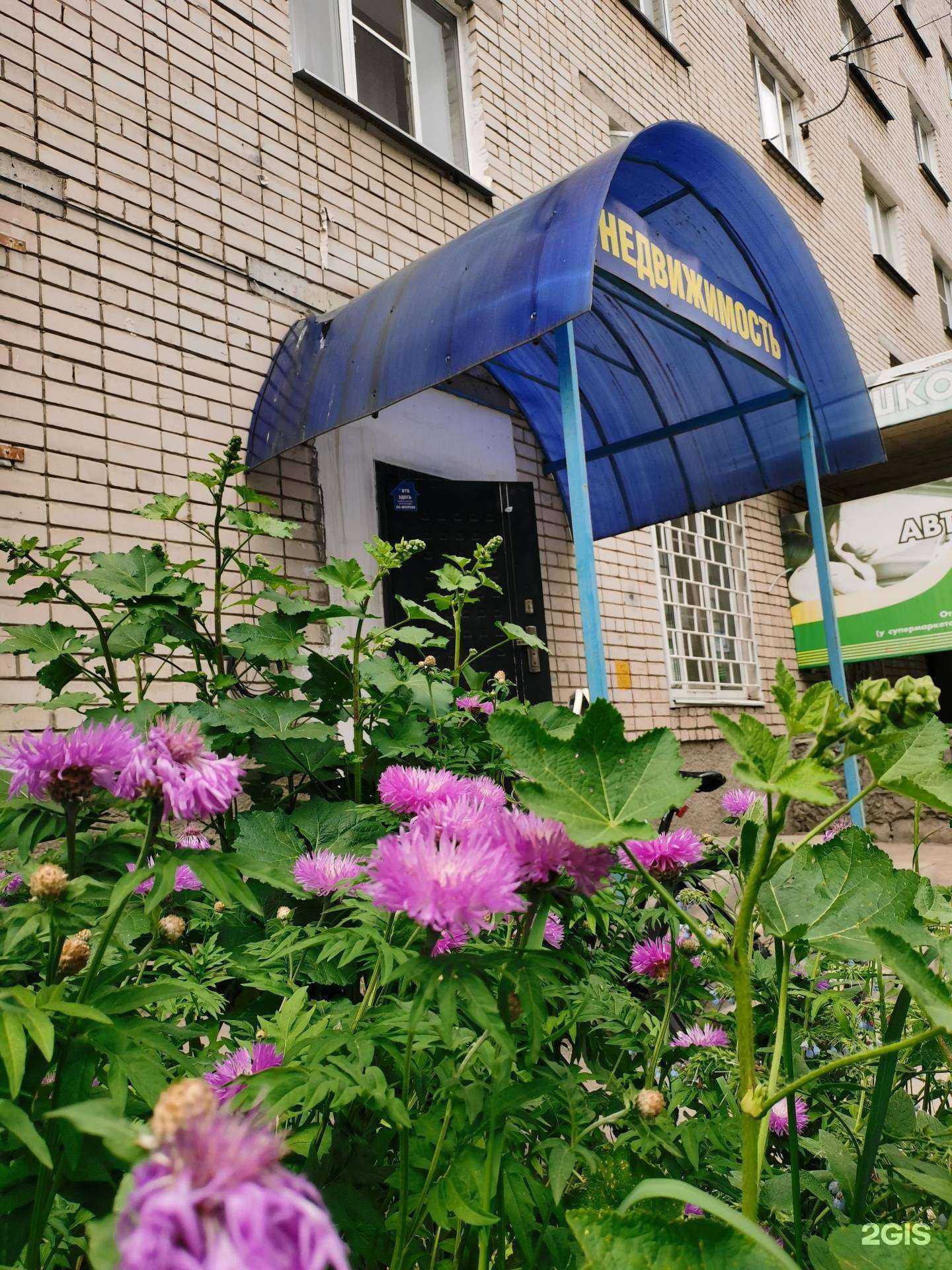 Отзывы на компанию Ковчег в Дзержинске c фото