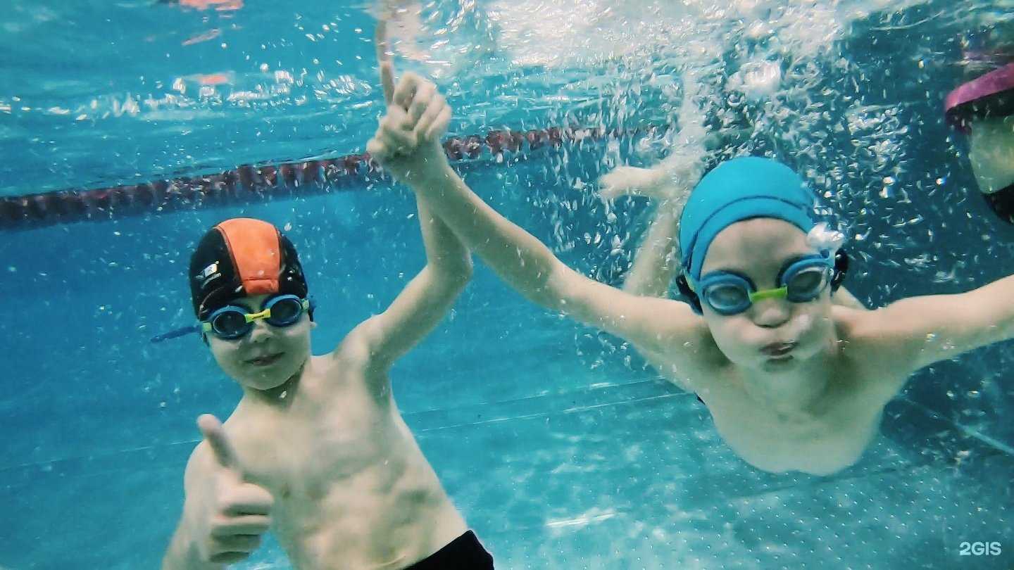 Отзывы на компанию Simply swim в Кемерове c фото