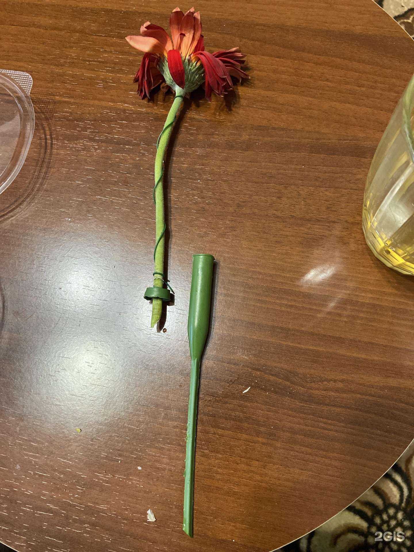 Отзывы на компанию Азалия в Бийске c фото