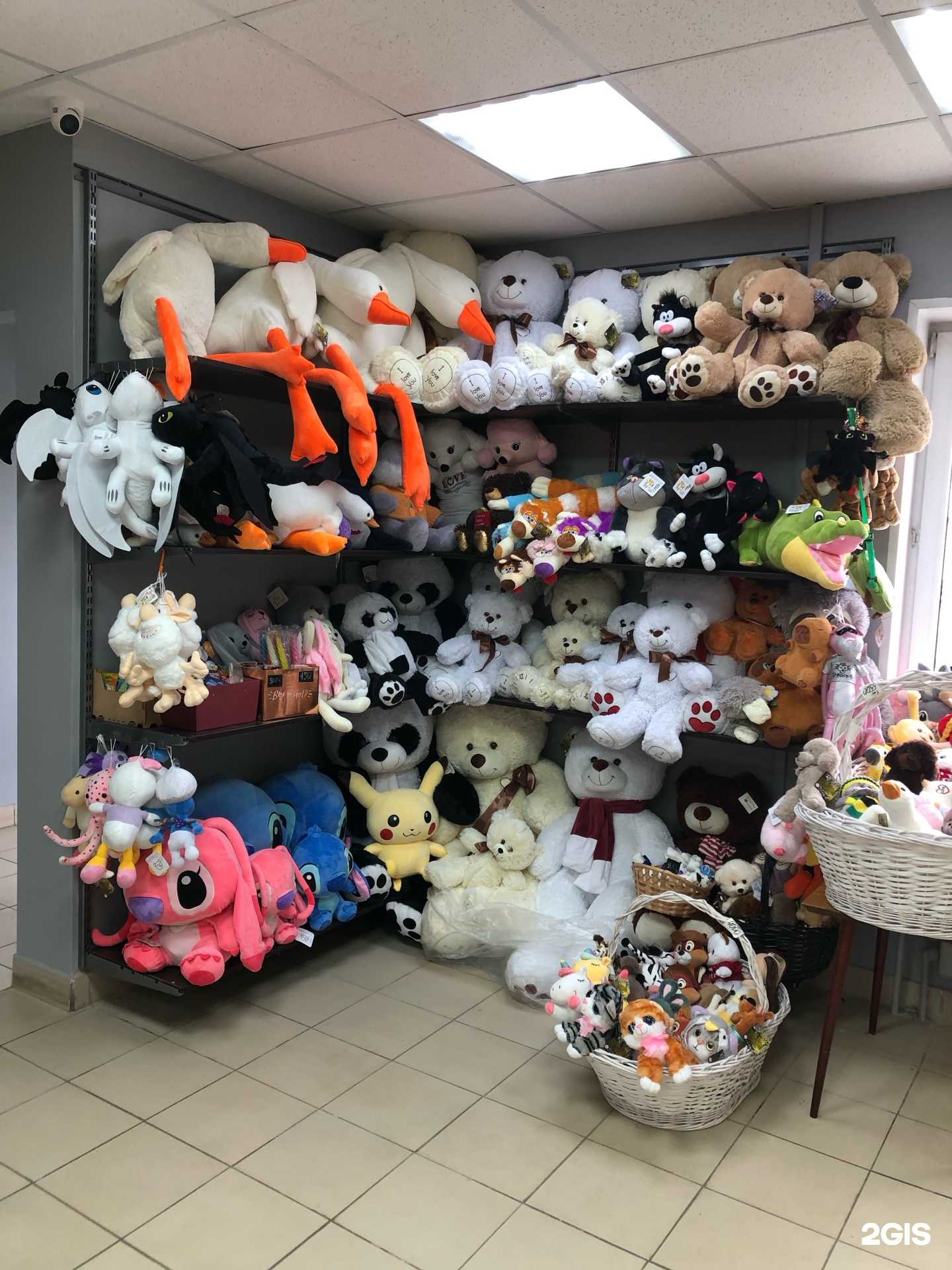 Отзывы на компанию ЦветЛандия в Челябинске c фото