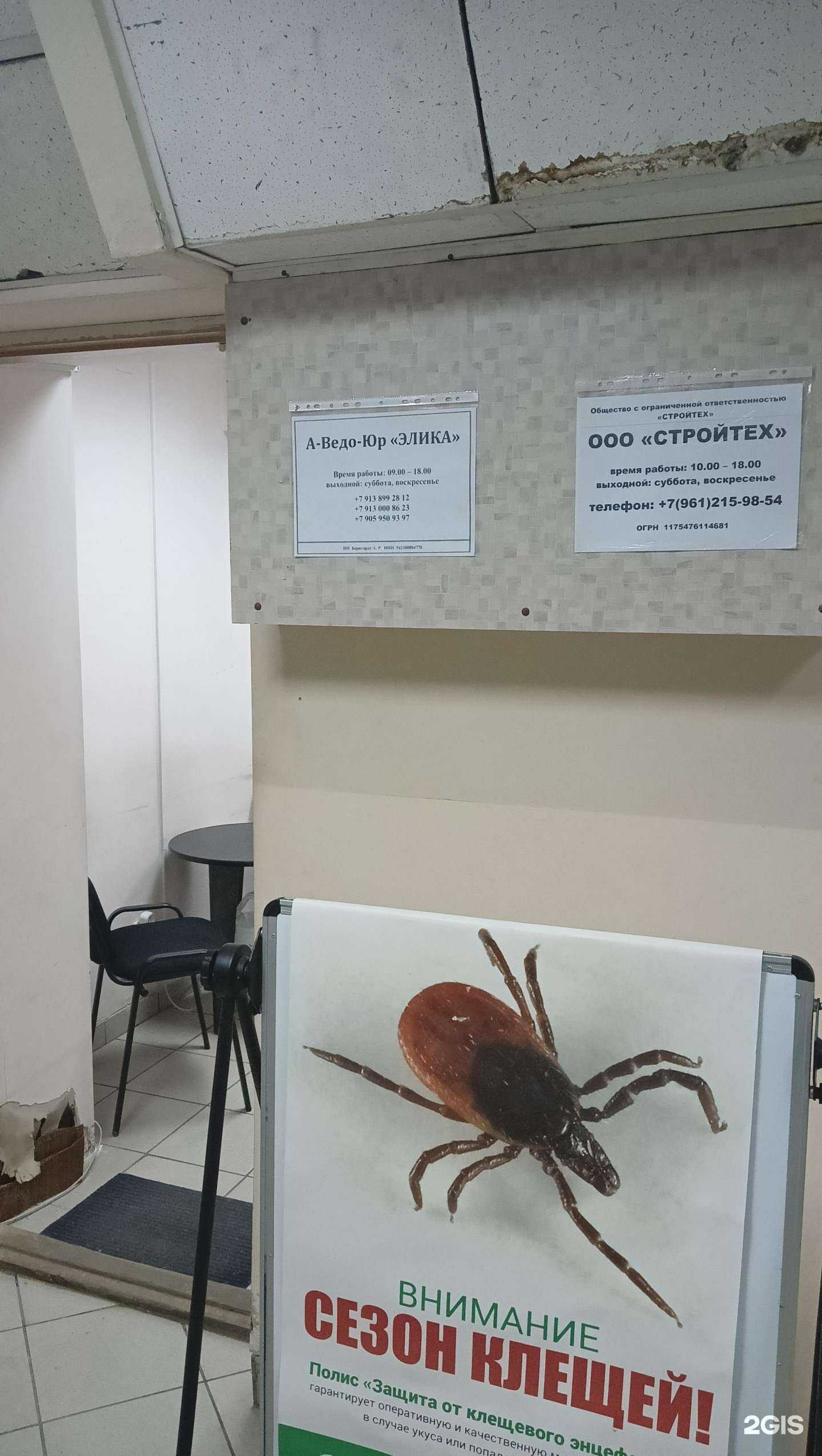 Отзывы на компанию А-Ведо-Юр Элика в Новосибирске c фото