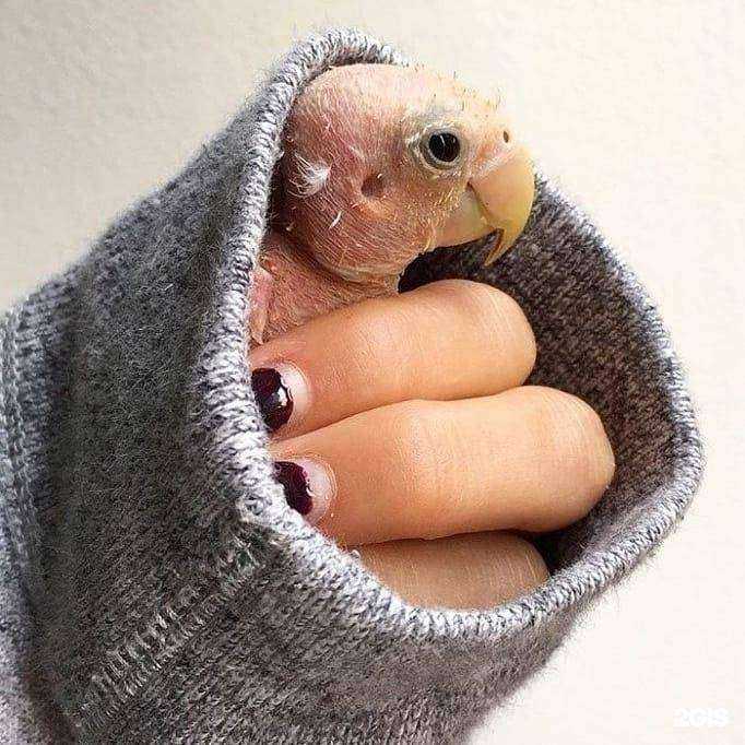 Отзывы на компанию Тысячи друзей в Рыбинске c фото