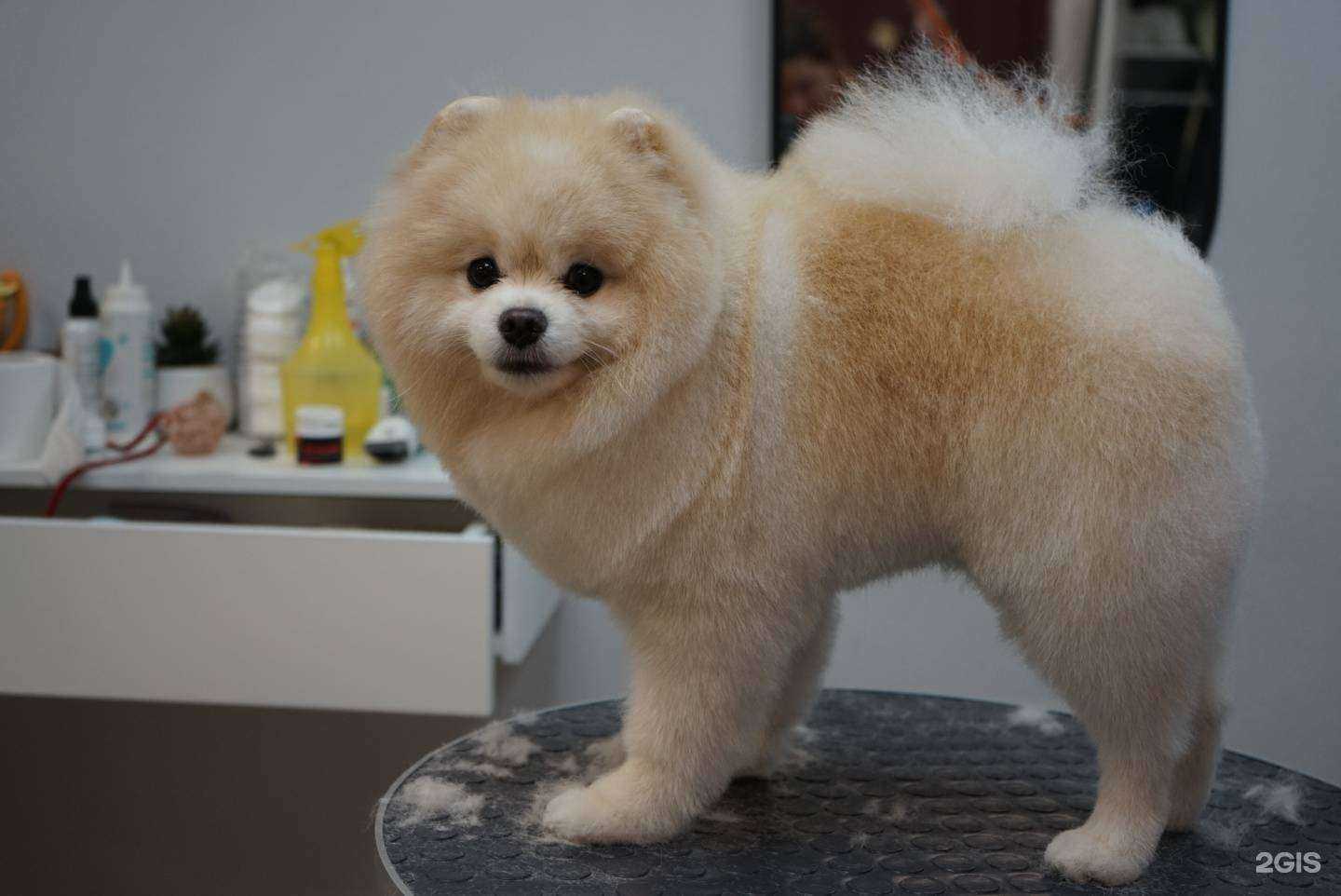 Отзывы на компанию Black&White в Иркутске c фото