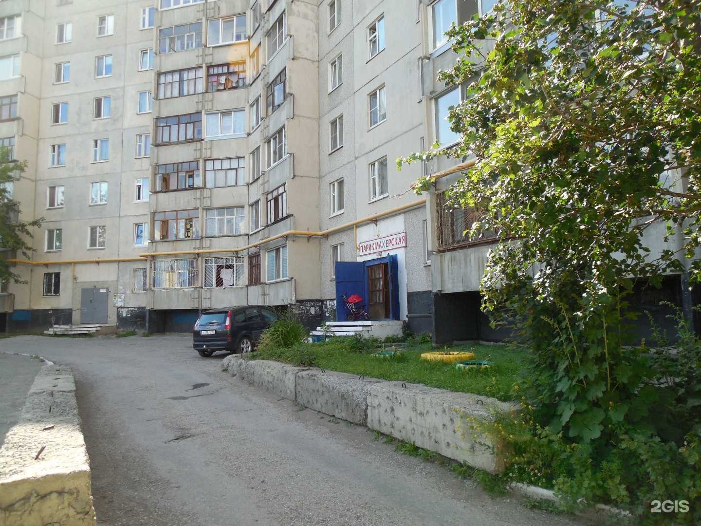 Отзывы на компанию Солнечный Пёс в Кургане c фото - фотография 2 из 2