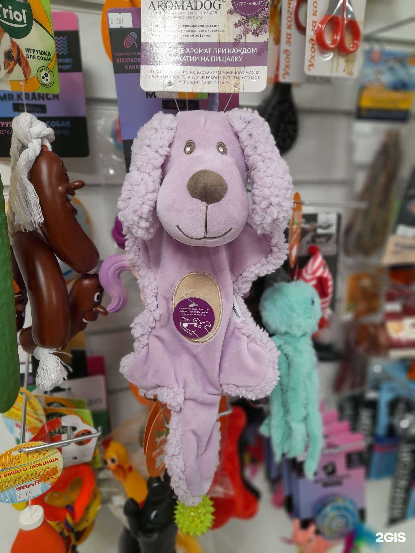 Отзывы на компанию Зоомагазин в г. Калининград c фото