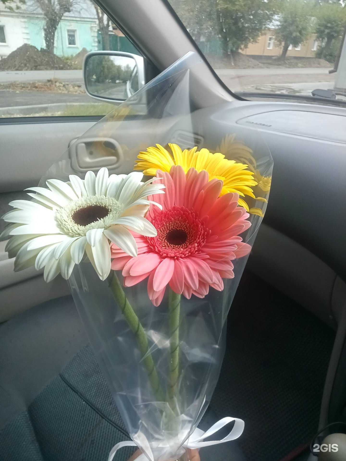 Отзывы на компанию Цветочный на Ефремова в Шадринске c фото