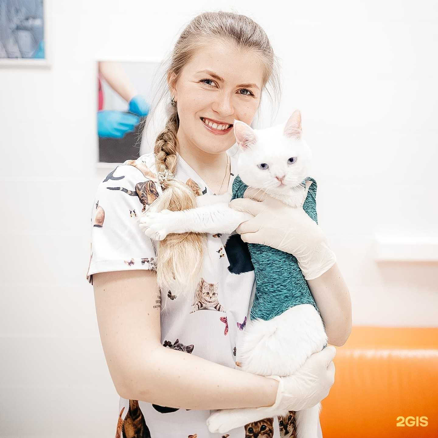 Отзывы на компанию Ветеринарная клиника в г. Екатеринбург c фото