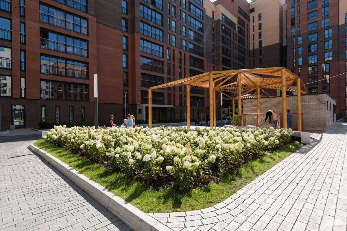 Отзывы на компанию Менси в Новосибирске c фото