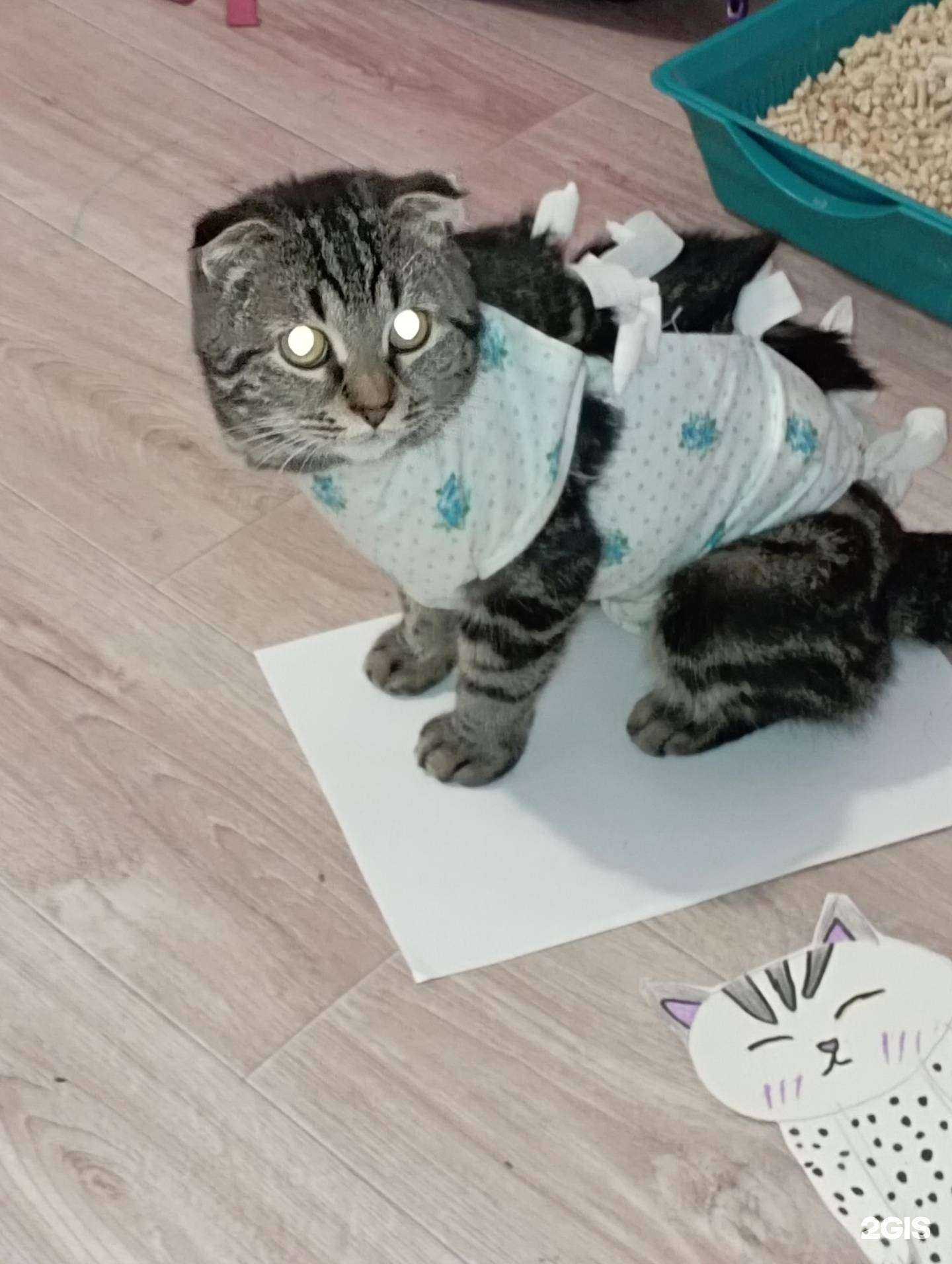 Отзывы на компанию Лекарь в Воронеже c фото