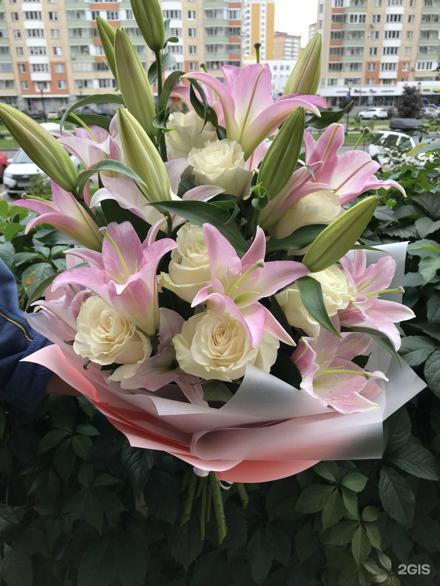 Отзывы на компанию Carryline в г. Балашиха c фото