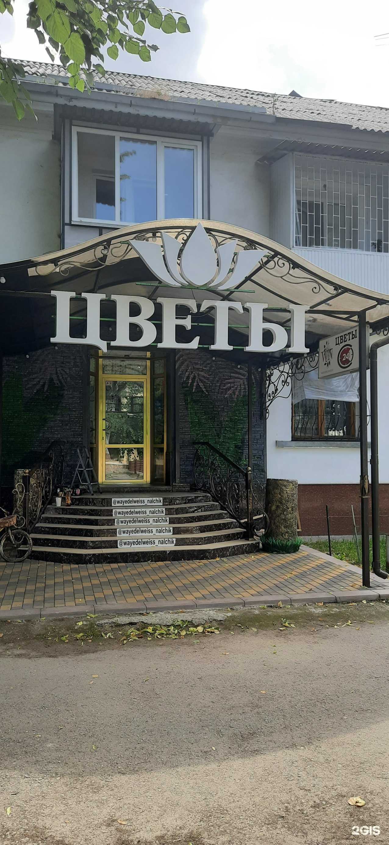 Отзывы на компанию Wayedelweiss в Нальчике c фото