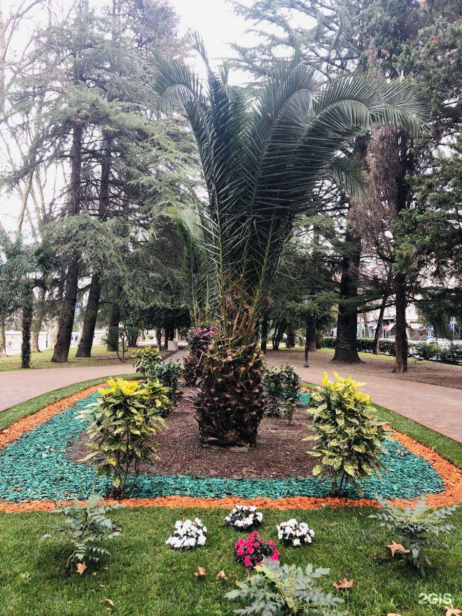 Отзывы на компанию Top Top Nails в Сочи c фото - фотография 2 из 2