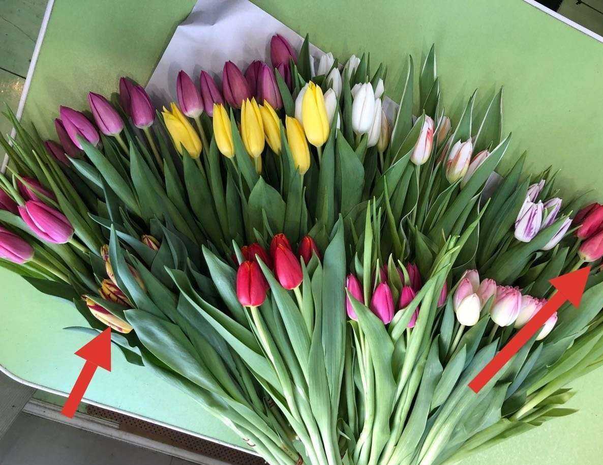 Отзывы на компанию Салон цветов в г. Екатеринбург c фото