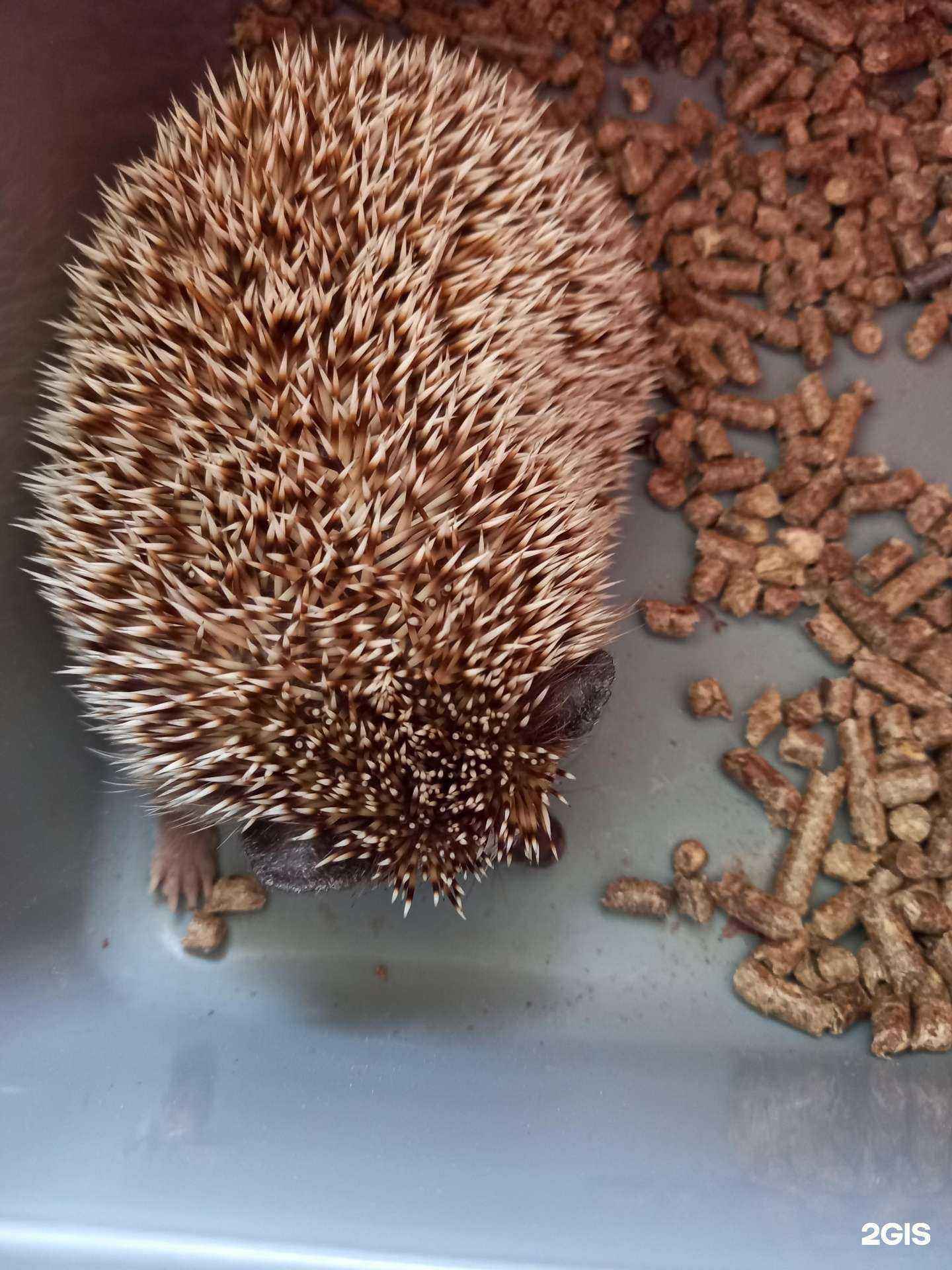 Отзывы на компанию Ветеринарная клиника в Краснодаре c фото