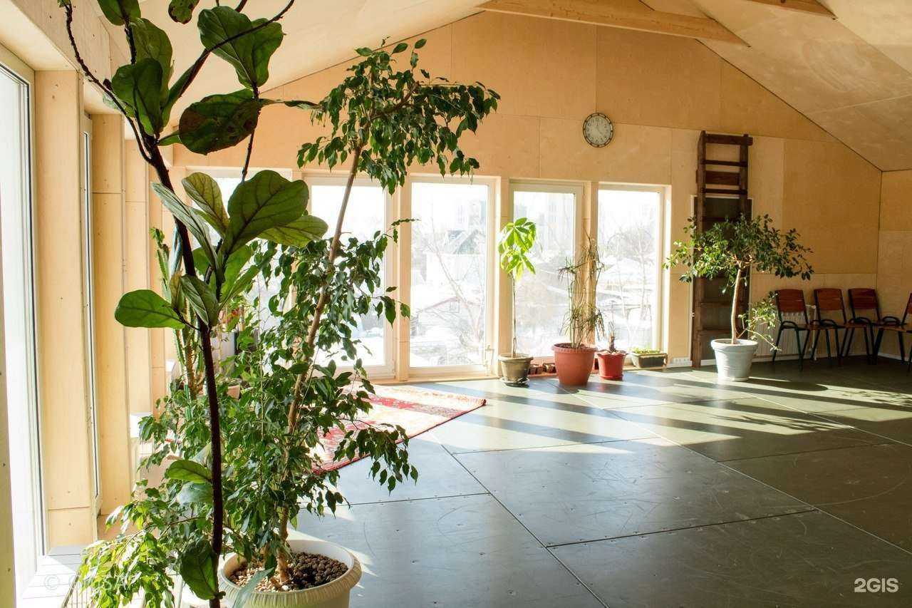 Отзывы на компанию Эйва в Самаре c фото