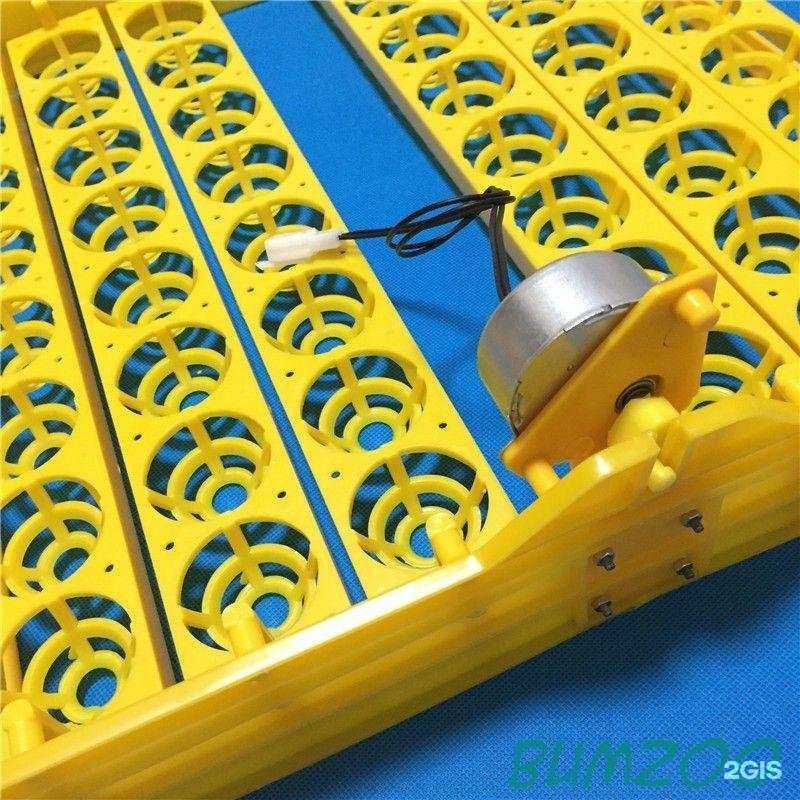 Отзывы на компанию Таганрогский живой уголок в г. Таганрог c фото