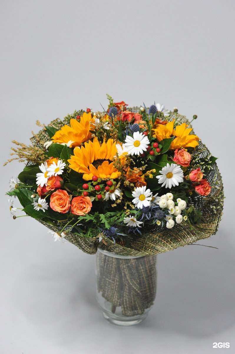 Отзывы на компанию Мича в Сыктывкаре c фото