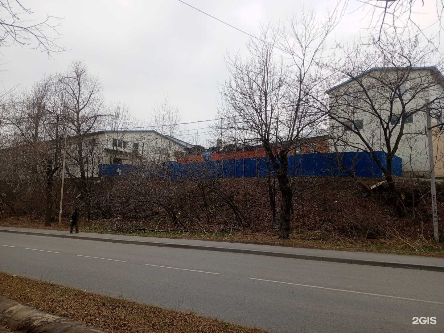 Отзывы на компанию ДальРыба-ДВ в Владивостоке c фото - фотография 2 из 2