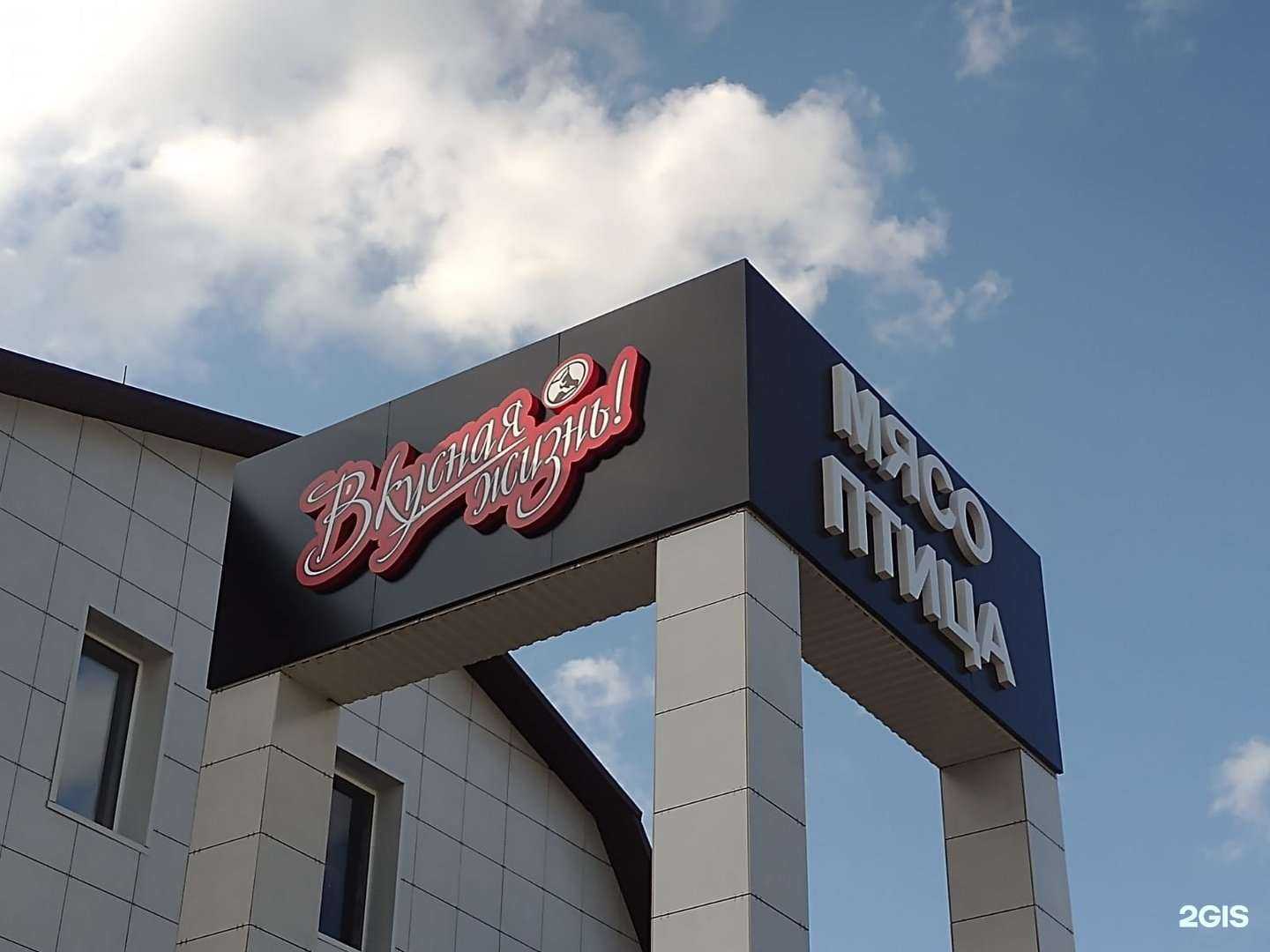 Отзывы на компанию Рыжий кот в Барнауле c фото