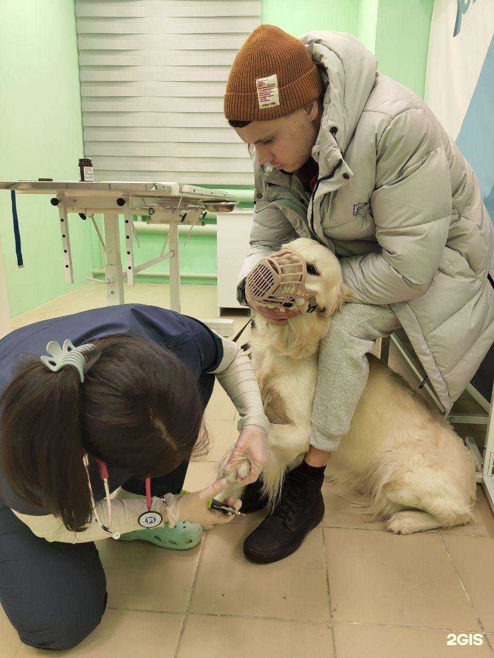 Отзывы на компанию СибирьВет в г. Ангарск c фото