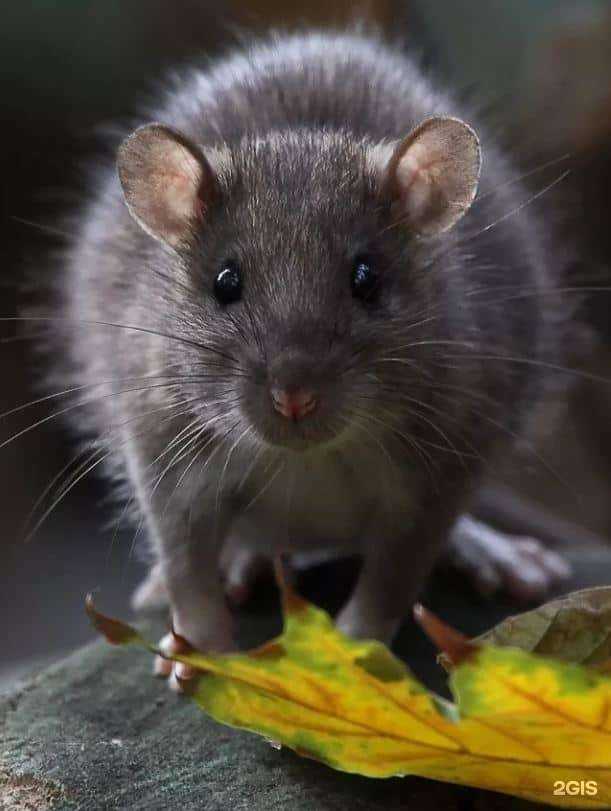 Отзывы на компанию Клин в Челябинске c фото