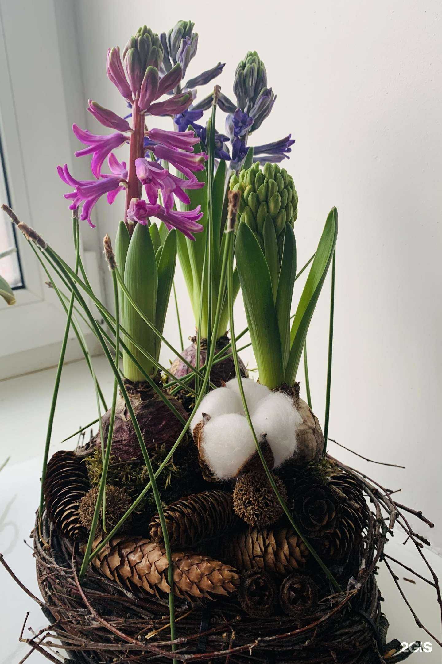 Отзывы на компанию Розмарин в г. Барнаул c фото