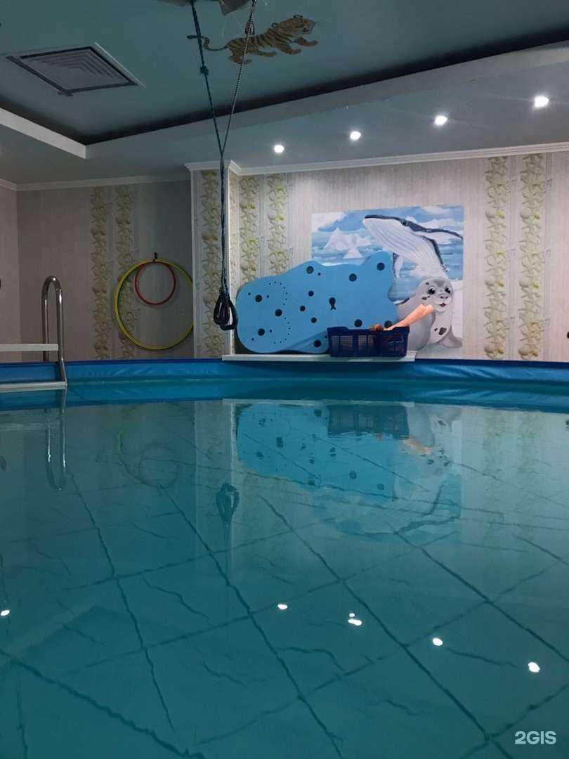 Отзывы на компанию Акулёнок в Воронеже c фото