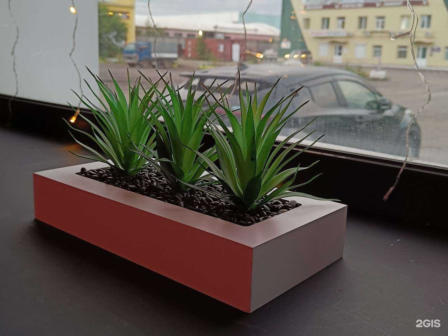 Отзывы на компанию Хайхэ в Комсомольске-на-Амуре c фото